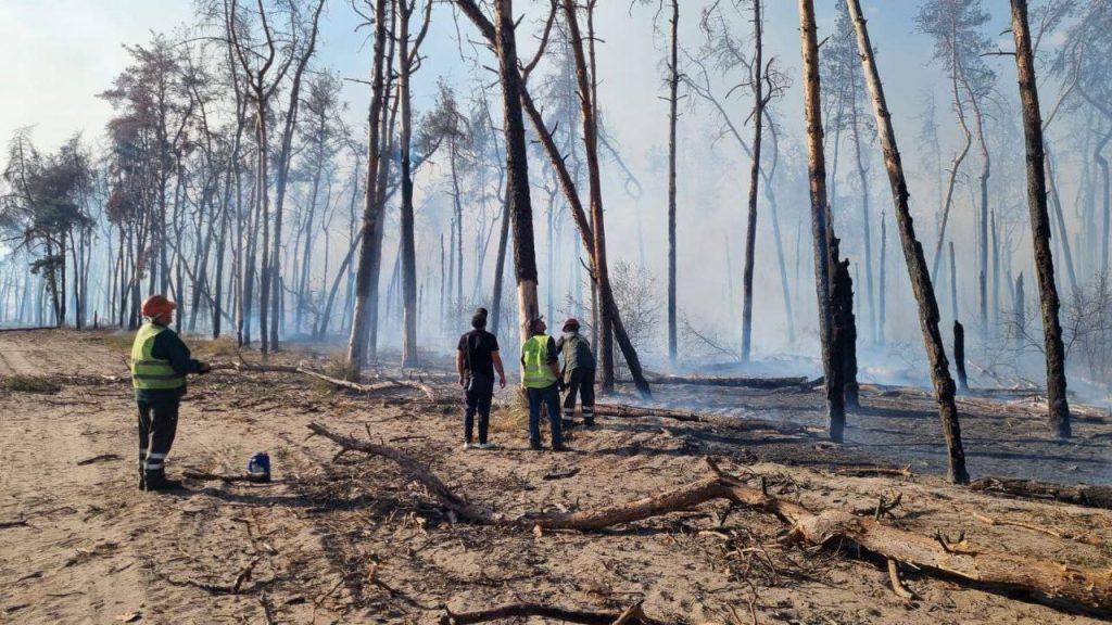 Возле ТРЦ «Караван» будет создан парк и зона отдыха