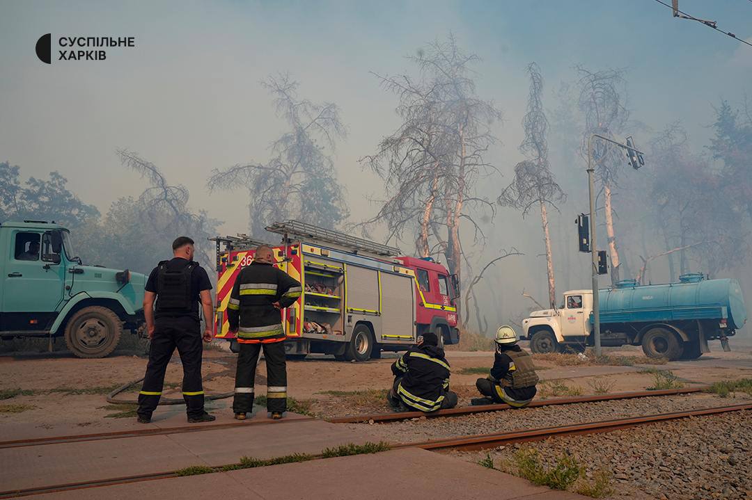 Горять дерева неподалік Журавлівського гідропарку