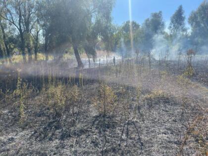 Під Харковом піймали підпалювача