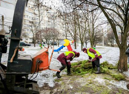 У Харкові утилізують новорічні ялинки