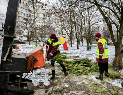 У Харкові утилізують новорічні ялинки