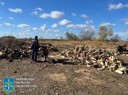 Вісьмом чоловікам повідомили підозру у незаконній порубці дерев