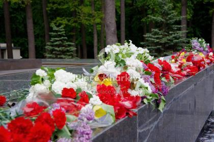 Харківʼяни вшановують памʼять загиблих у Другій світовій війні