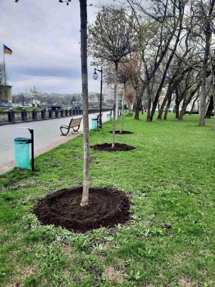 У Харкові затвердили програму збереження зелених зон до 2030 року