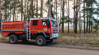 На Харківщині тривають масштабні лісові пожежі