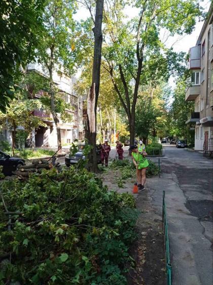 Комунальники прибрали щонайменше 700 дерев