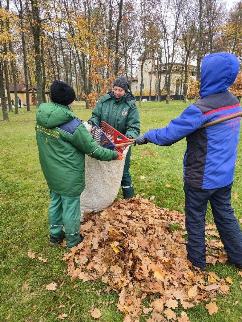 В Центральном парке убирают листья
