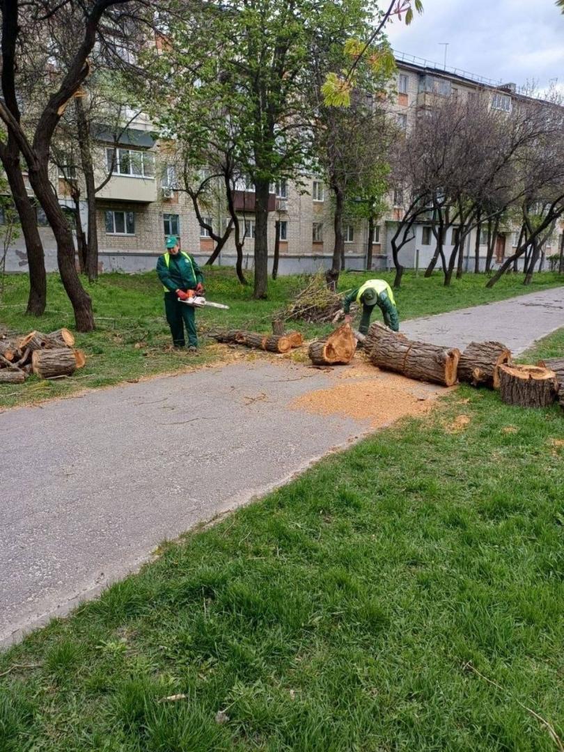 В Харькове продолжается ликвидация последствий урагана